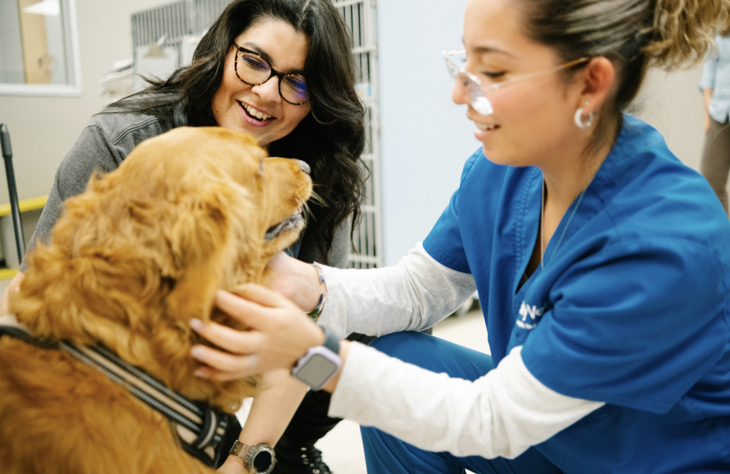 CityVet Acquires The Animal Hospital at Steiner Ranch