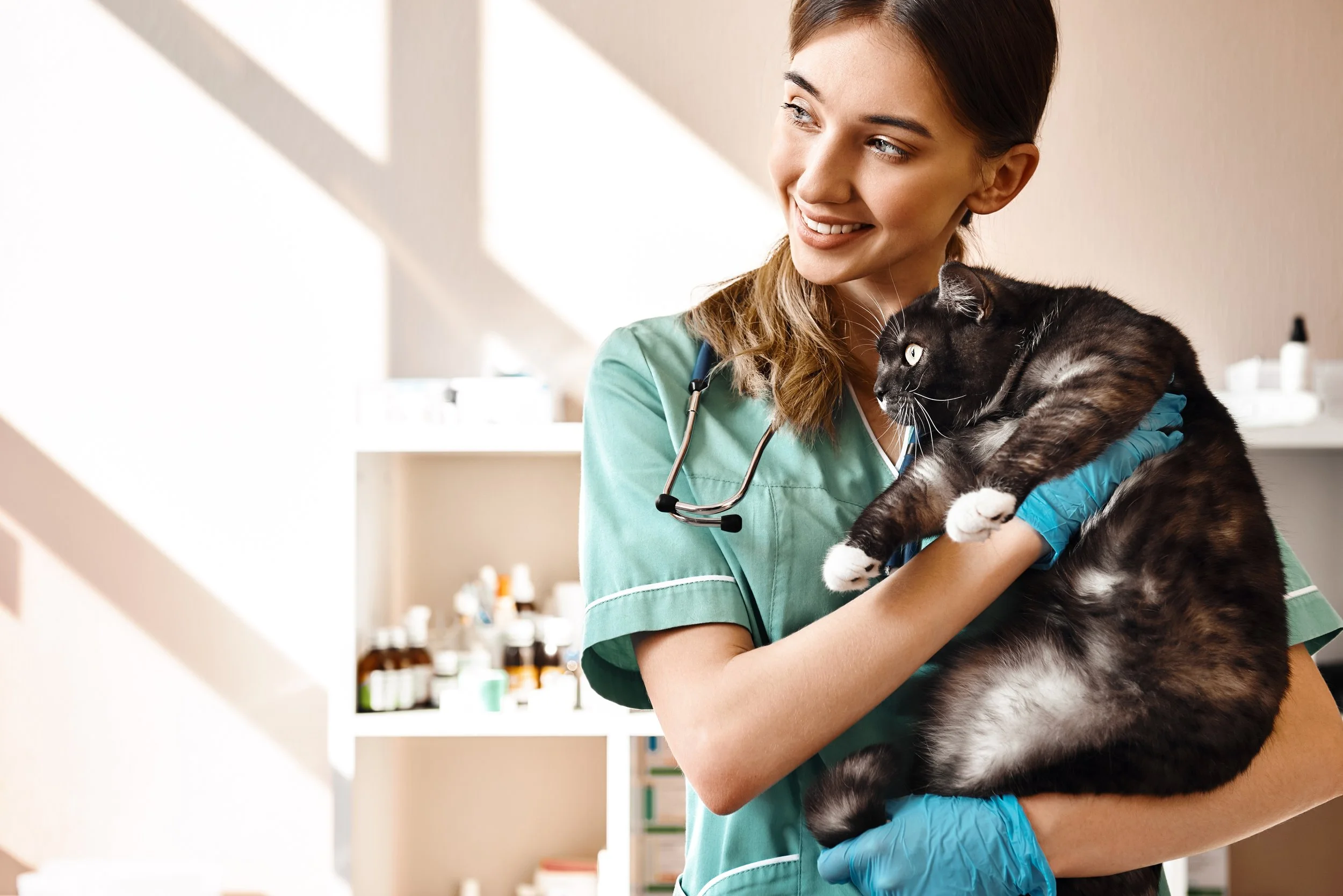 Prop 129: Could This New Role Revolutionize Veterinary Care in Colorado?