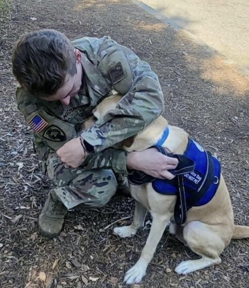 Petco Love Commits Over $500,000 to Support Service Dogs for Veterans and Transform Shelter Pets into Heroes