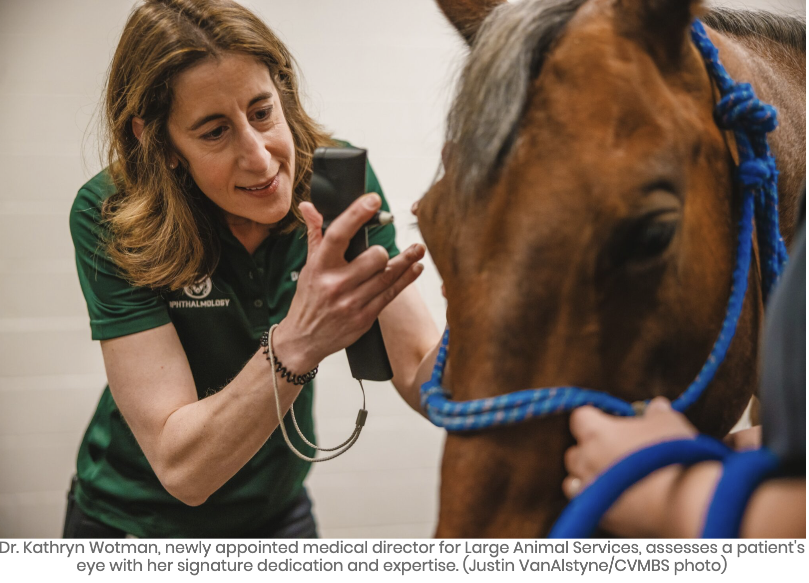 Colorado State University’s Veterinary Health System Welcomes New Leadership to Drive Innovation and Excellence