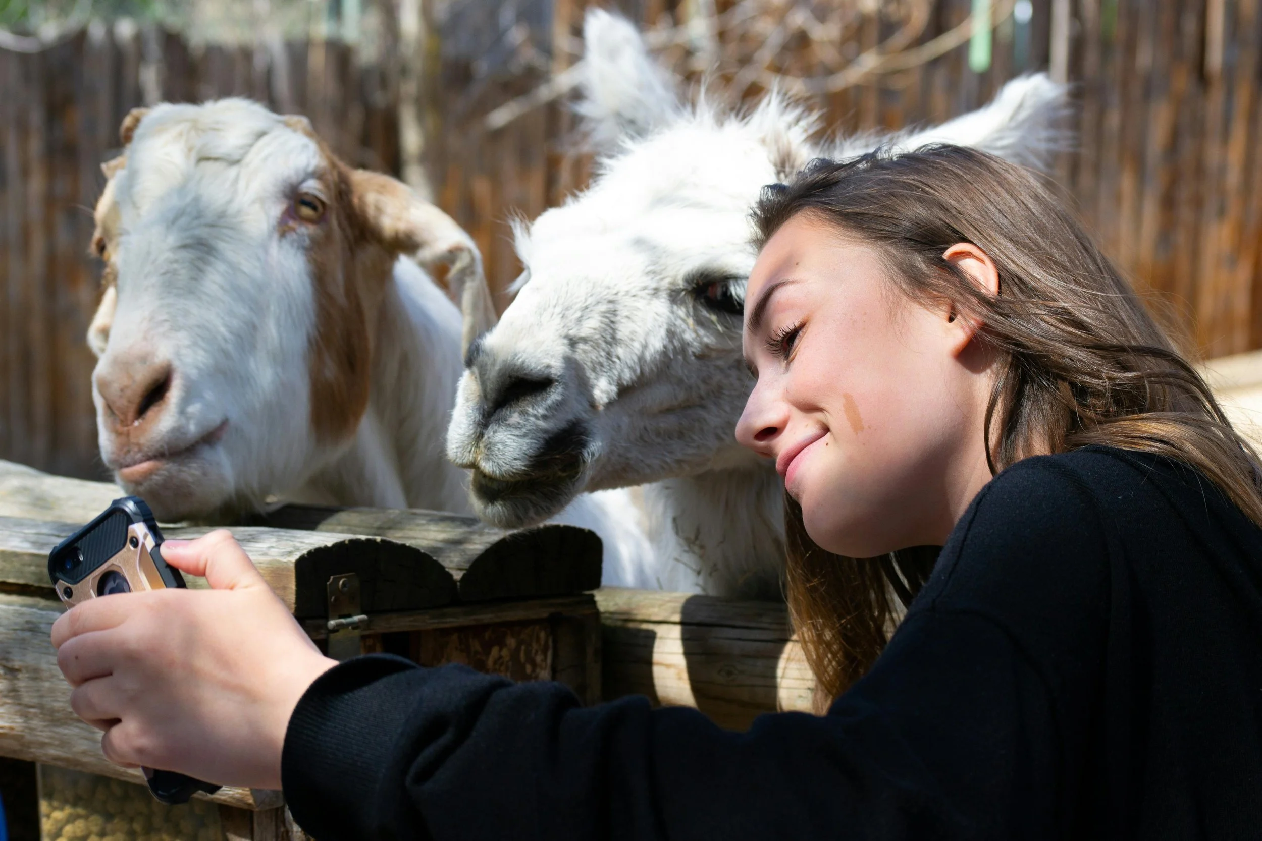 Zoo Atlanta Unveils the million dollar Rollins Animal Health Center, Setting New Standards in Animal Care