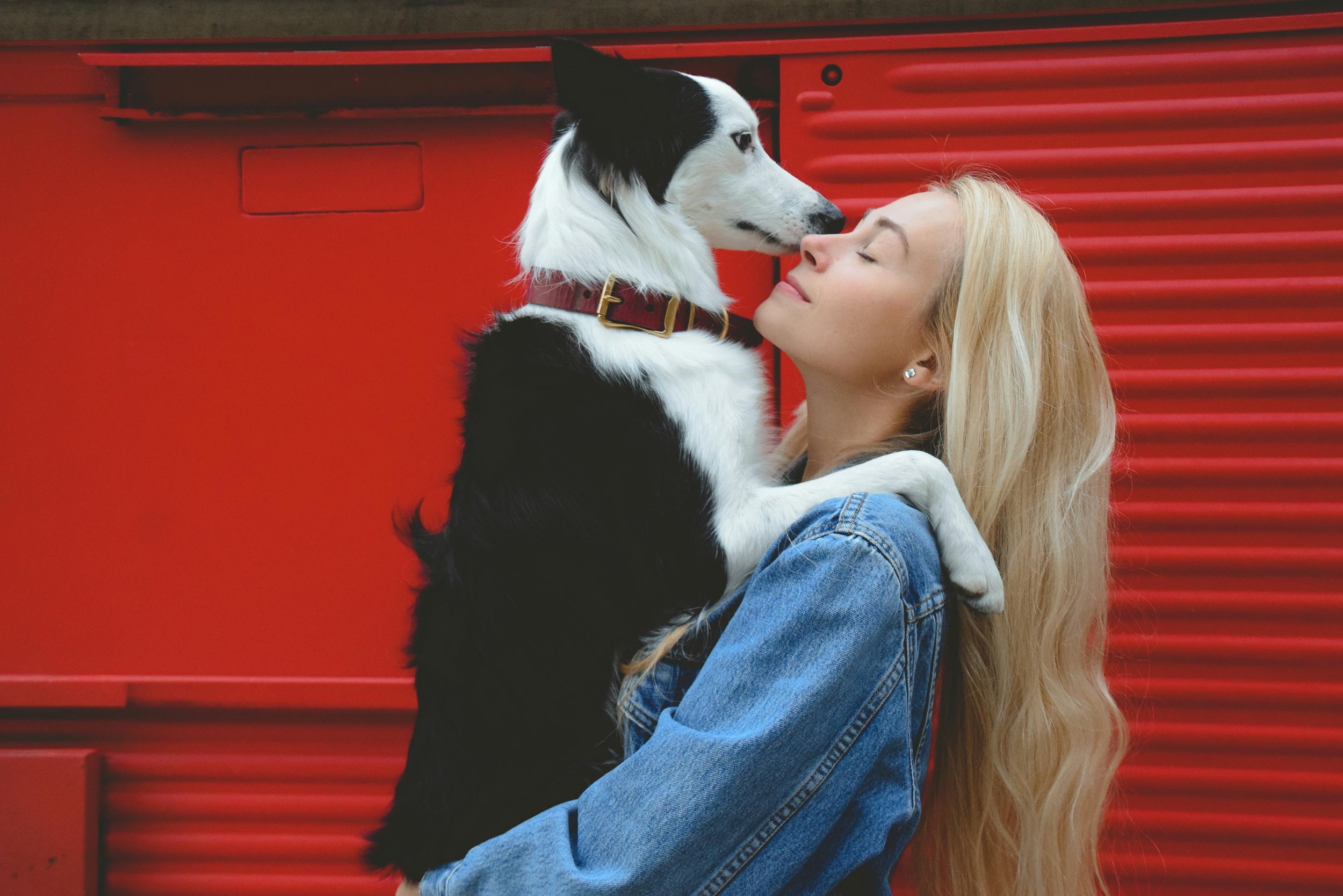 MetLife Pet Insurance and HABRI Partner to Strengthen the Human-Animal Bond