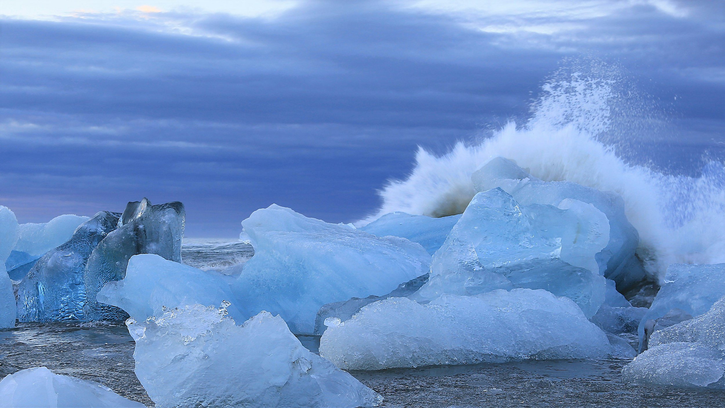 The Antarctic Blue Whale: Can the World's Largest Animal Recover from Near Extinction?