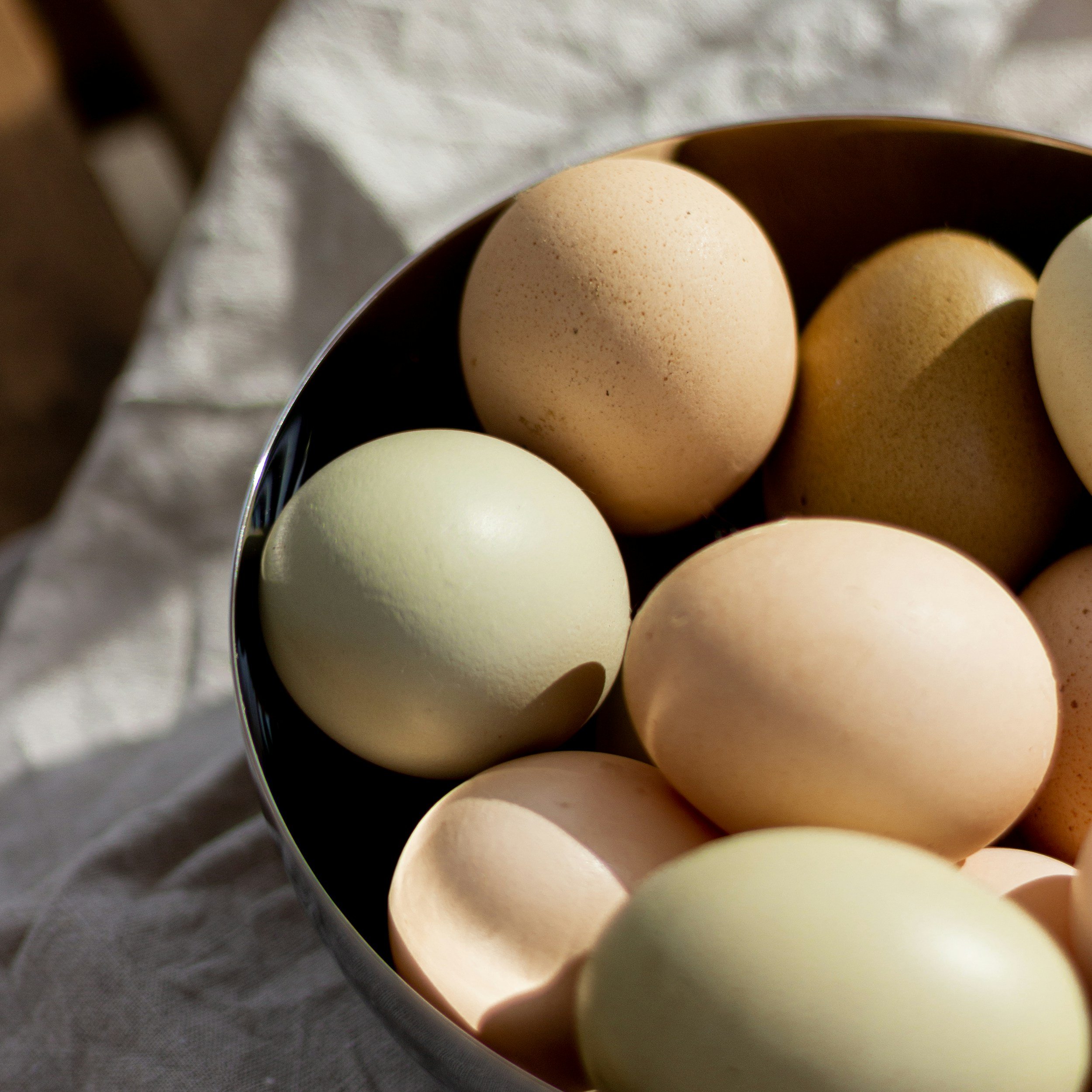 The Mutating H5N1 Virus Is Spreading—Here’s What You Need to Know About the Latest Threat to Humans, Animals, and Our Food Supply!