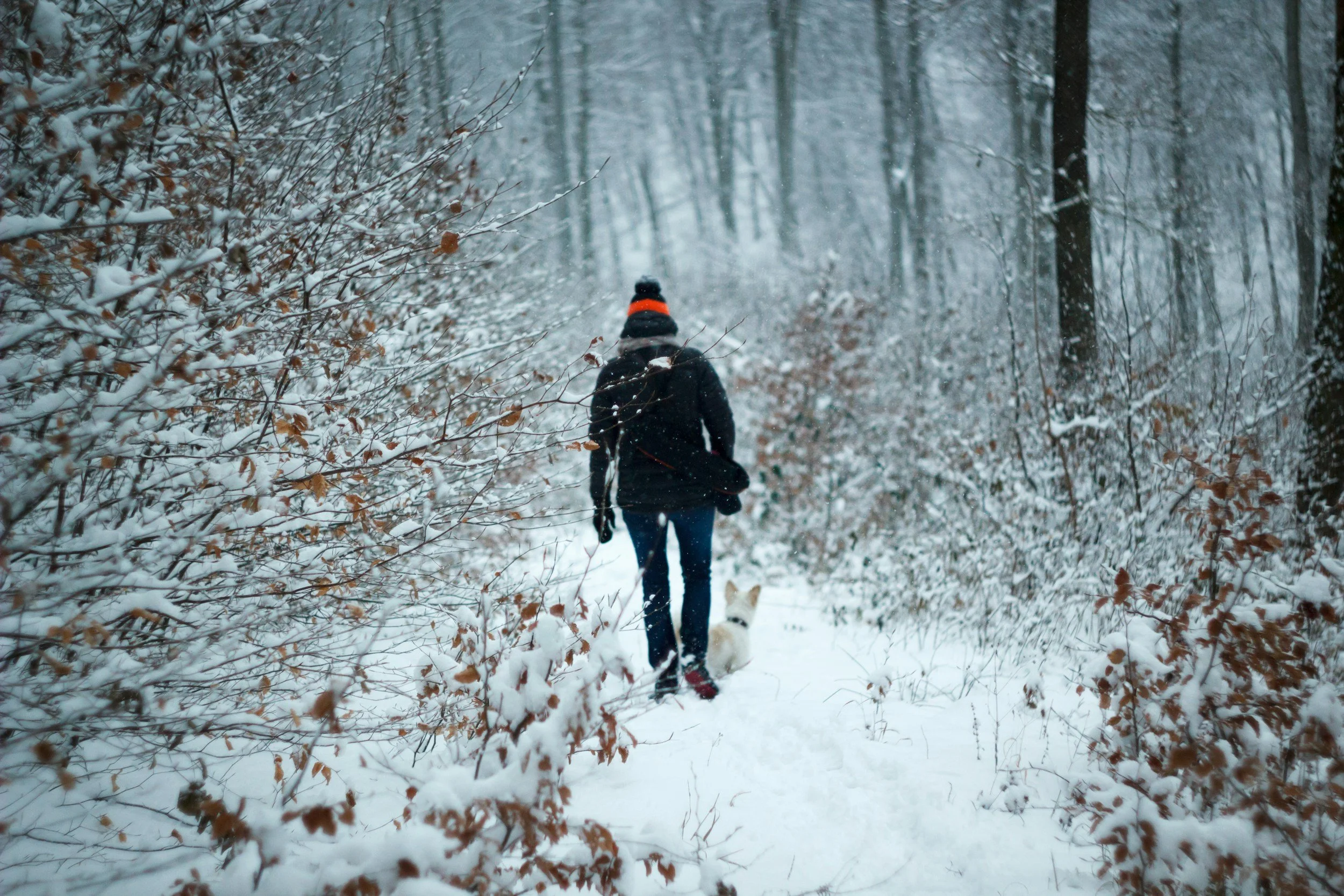 Stay in Shape This Winter: 5 Quick Outdoor Workouts for Busy People Who Hate the Gym!