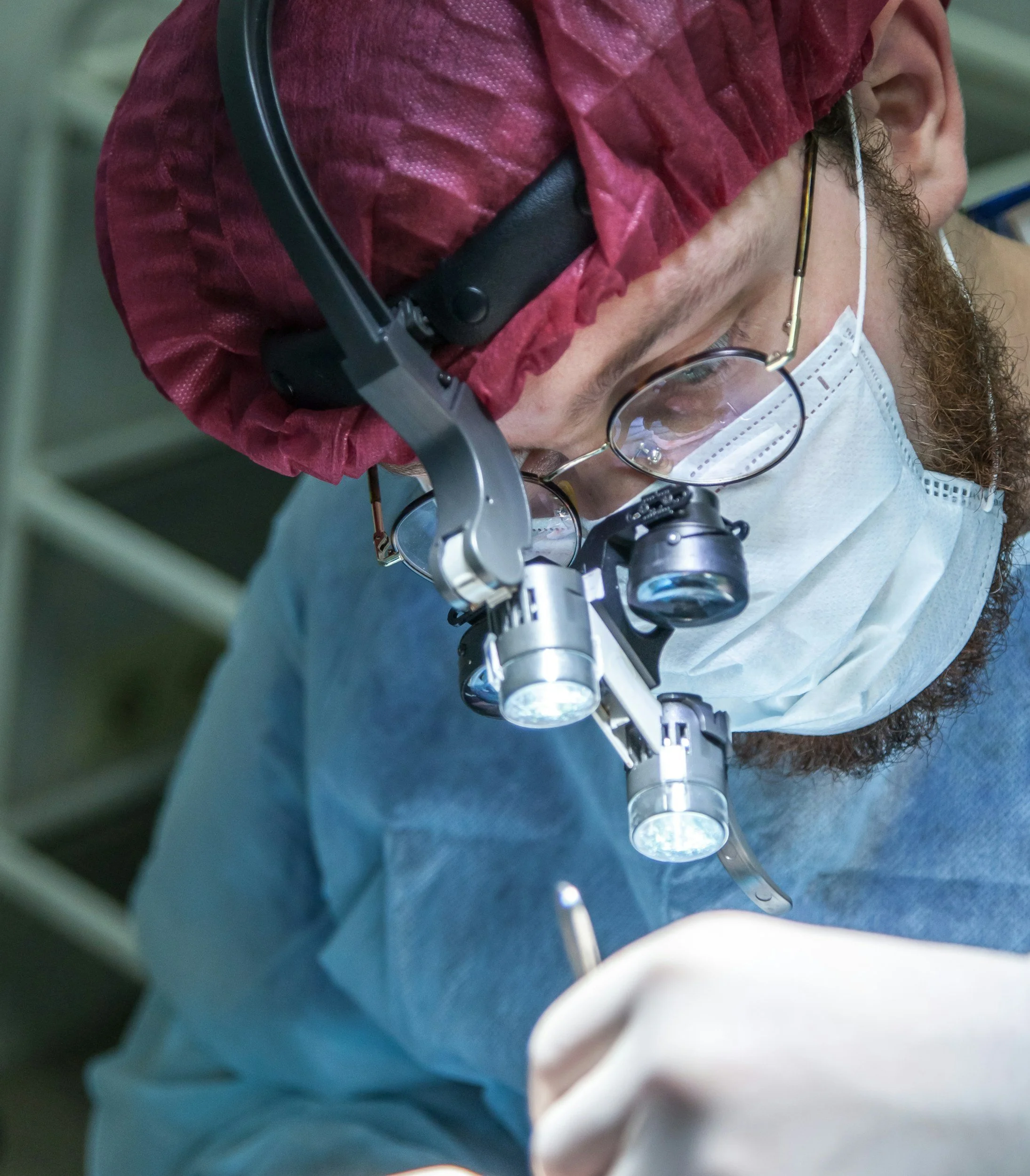 Veterinary Survey Reveals Gaps in Anaesthesia and Pain Management for Spay Surgery—What You Need to Know