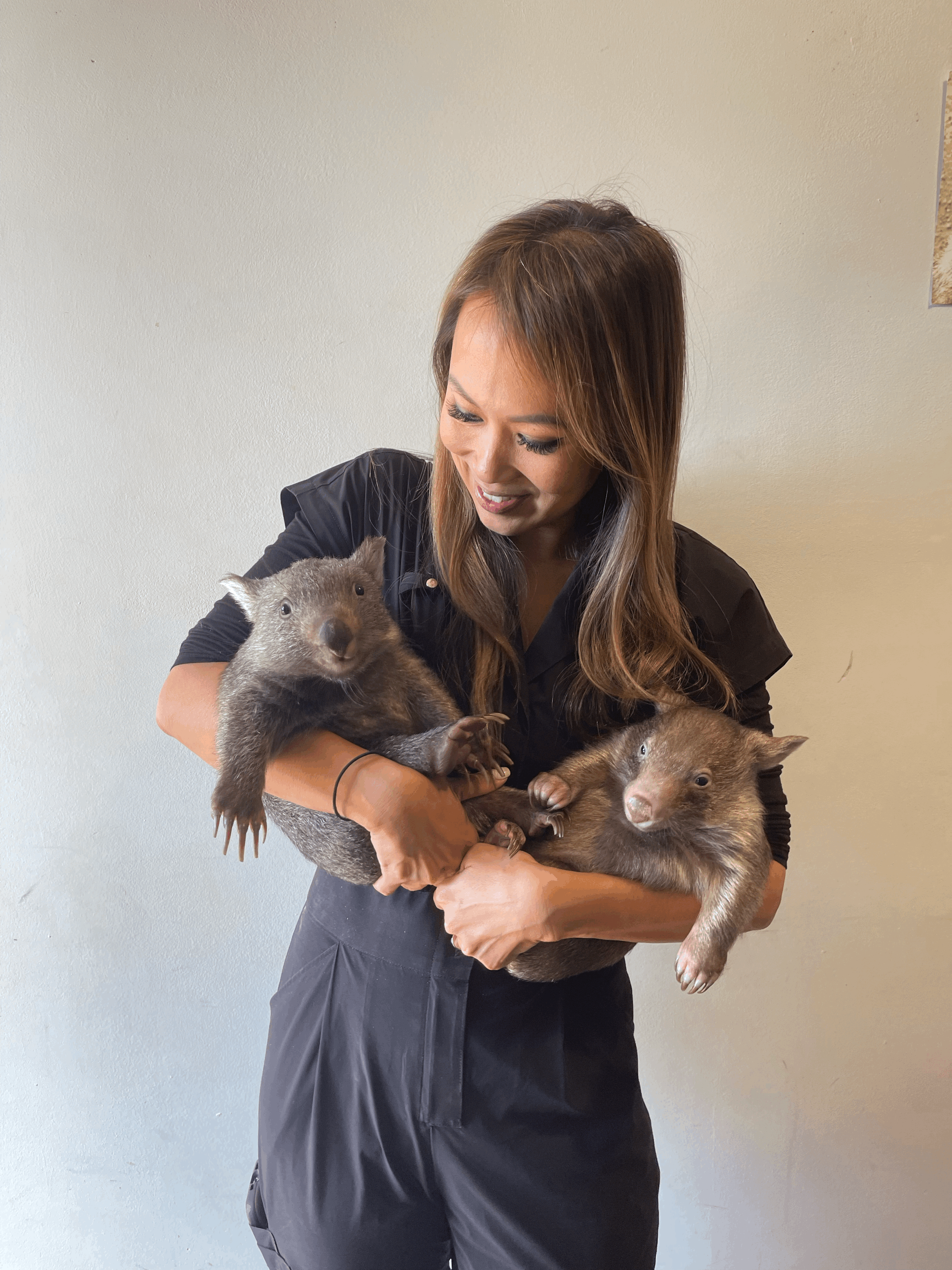 How to Boost Your CE Budget in 2025: Transform Your Career with Wellness Retreats and Wildlife Adventures