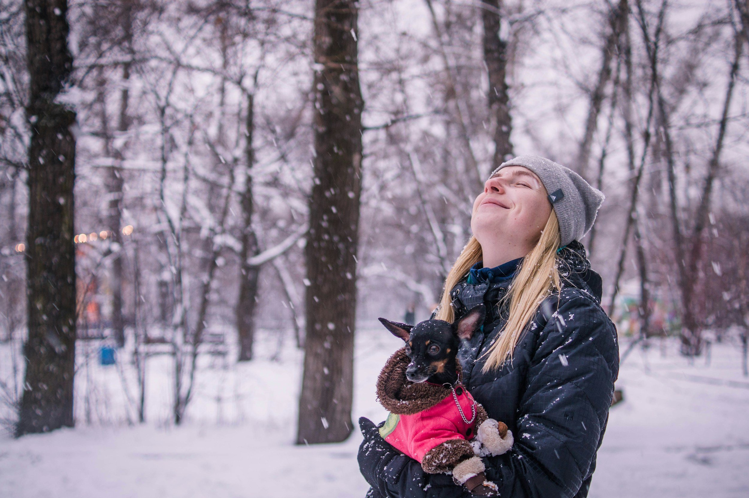 The Hidden Truth About Dog Ownership: What Every Veterinarian Needs to Know