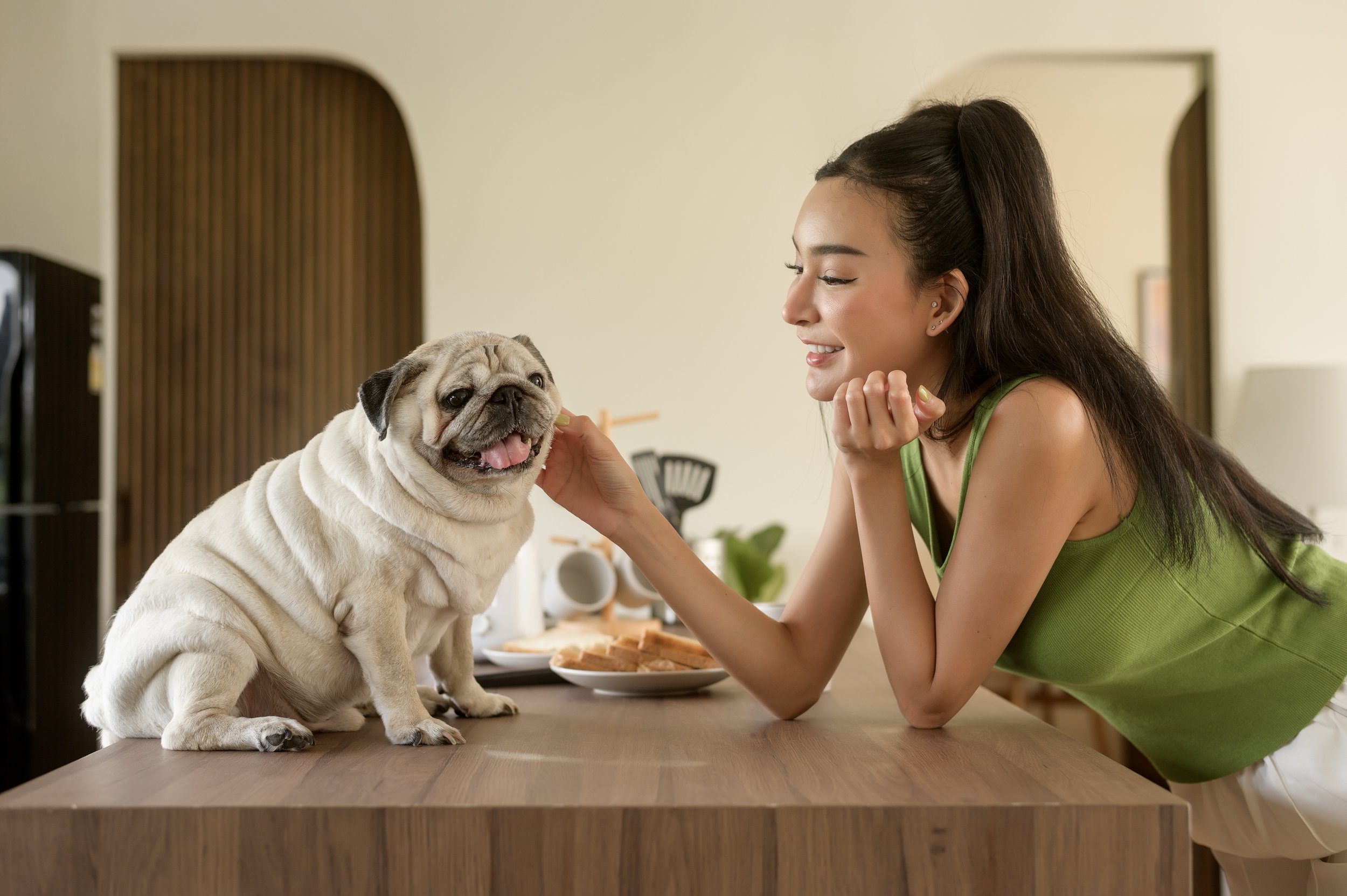 How modern dog ownership has redefined family and parenting
