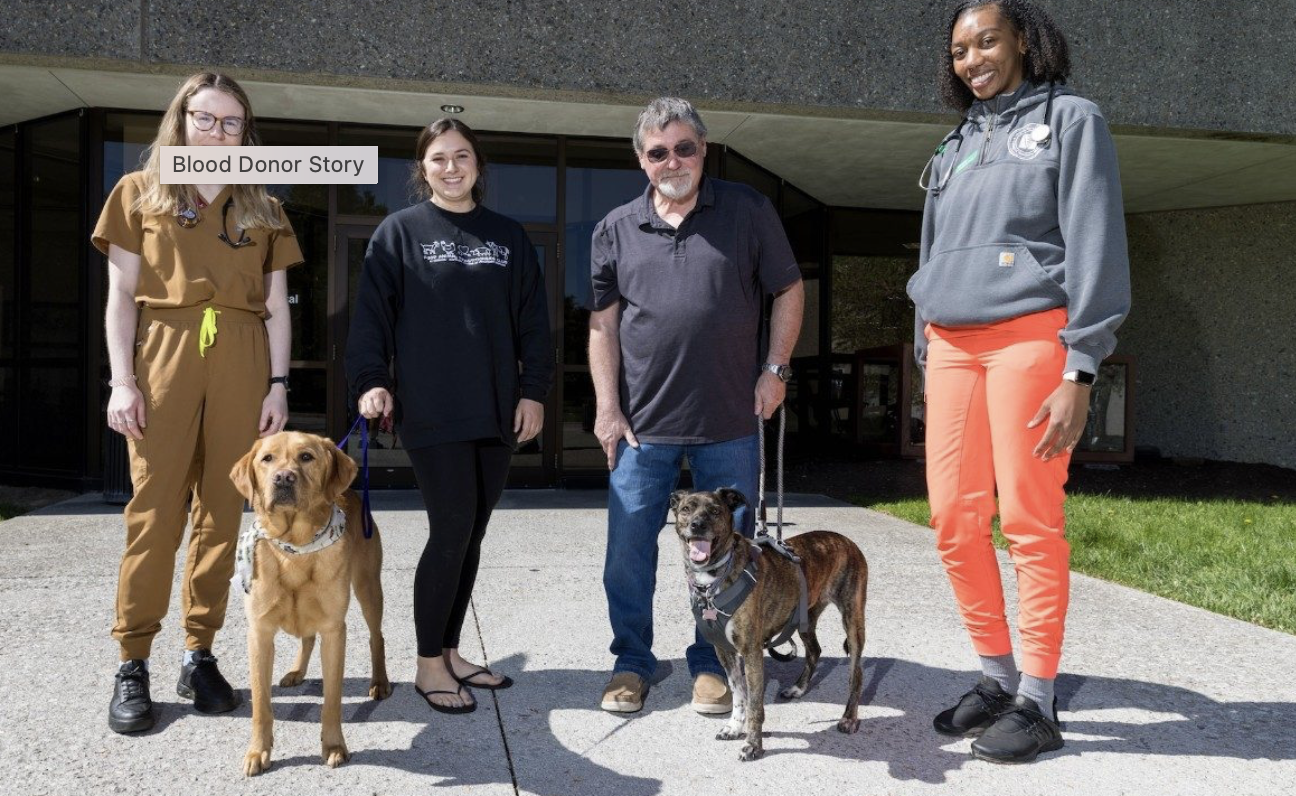 Life-saving blood donation at Veterinary Teaching Hospital connects two dogs and their owners
