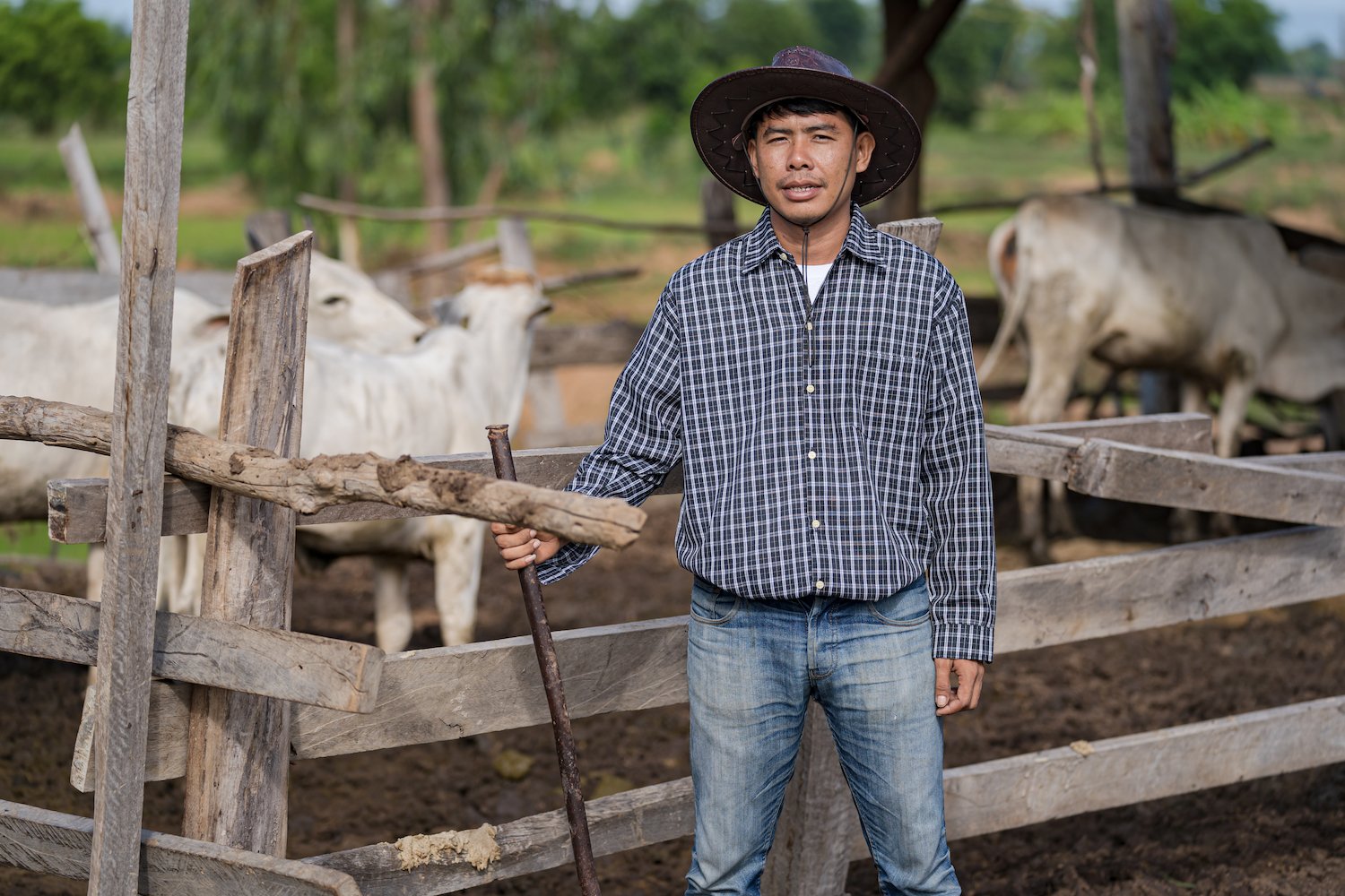 WOAH Calls for Global Vaccine Investment to Combat Rising Animal and Zoonotic Disease Threats