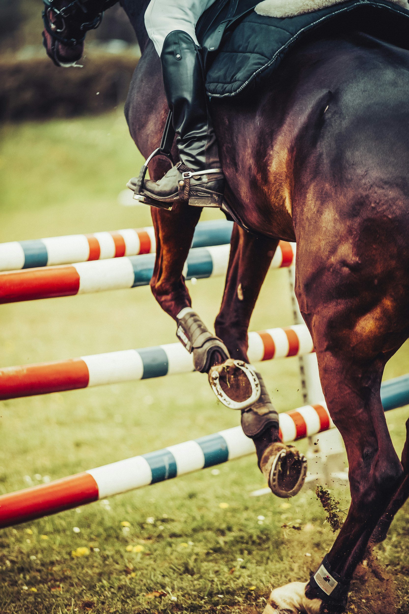 US Equestrian Releases Veterinary Best Practices White Paper Emphasizing Long-Term Horse Welfare