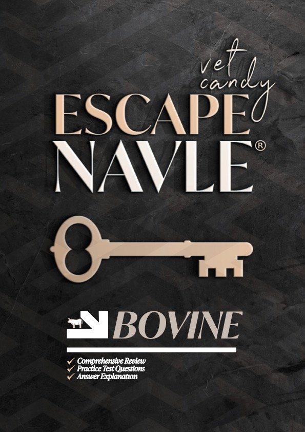 Bovine Escape Navle copy COVER.jpg