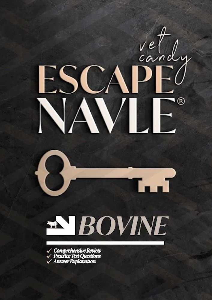 Bovine Escape Navle copy COVER.jpg
