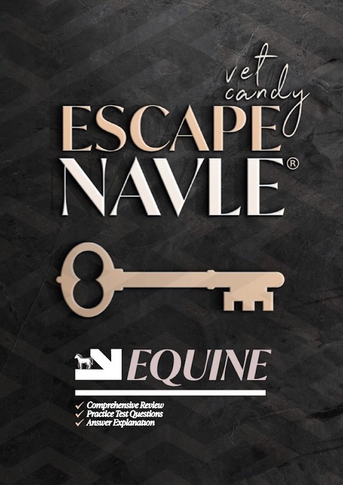 Equine Navle Book COVER.jpg