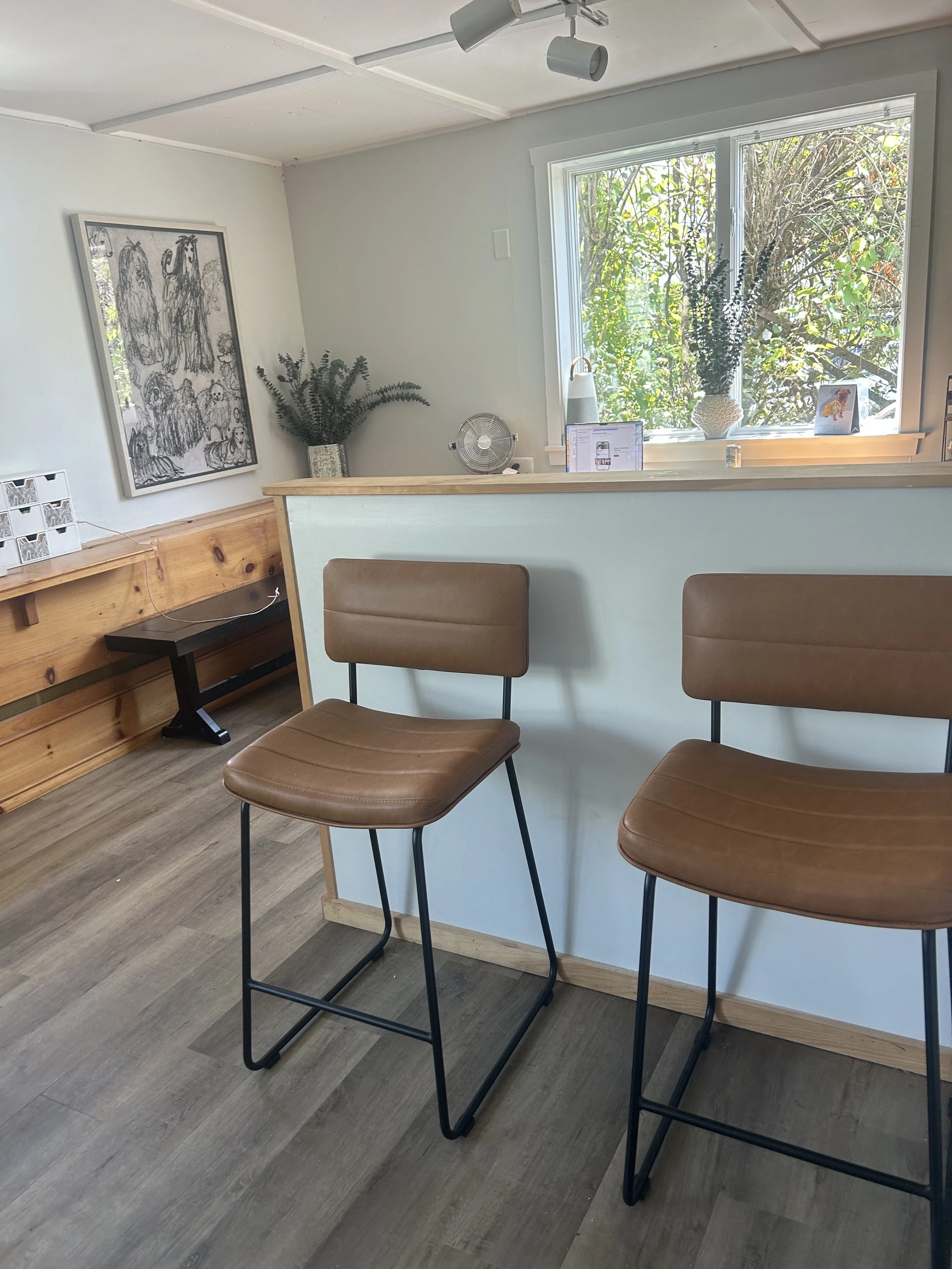 Built Lean by Design: How This Vet Created a Vet Clinic in 10 Days with $10,000 budget