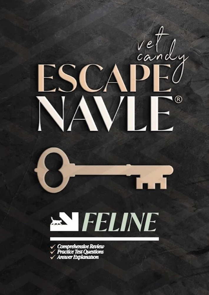 Feline Escape Navle cover.jpg