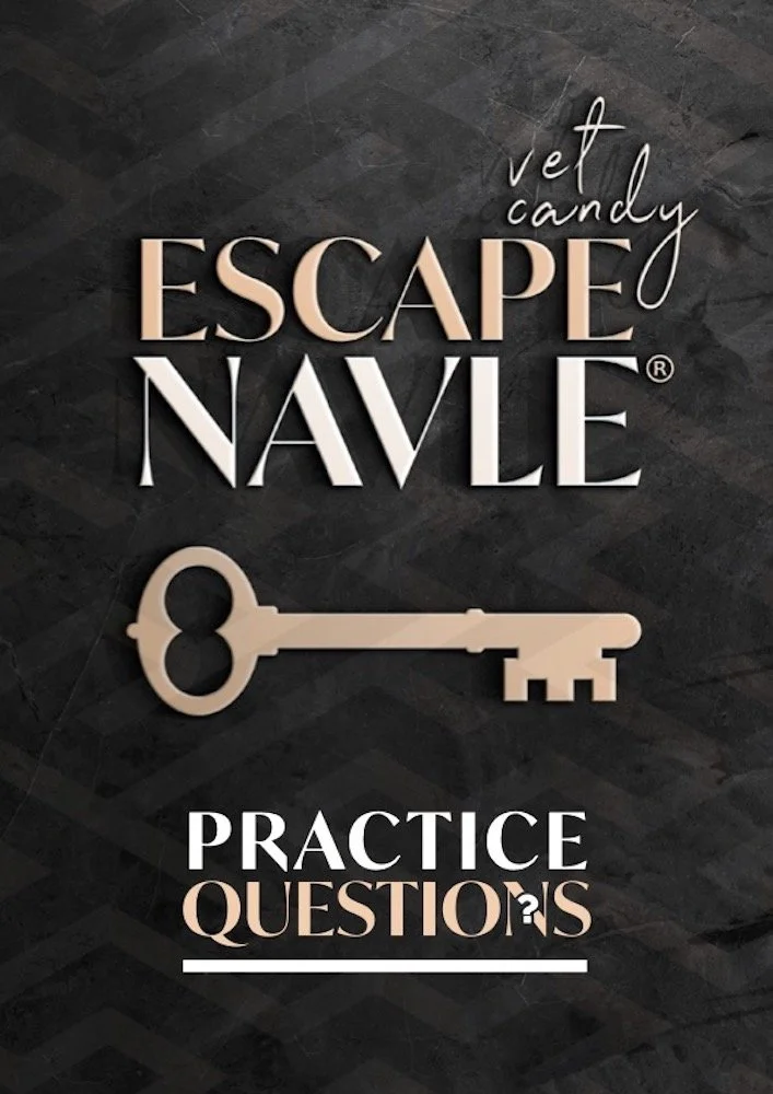 Cover Books of questions copy.jpg