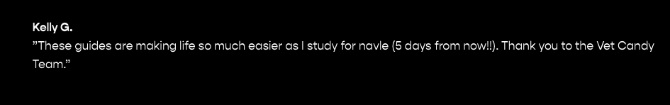 Screenshot 2025-12-18 at 12.19.55 PM.png