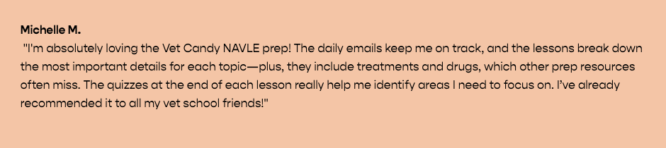 Screenshot 2025-12-18 at 12.18.58 PM.png