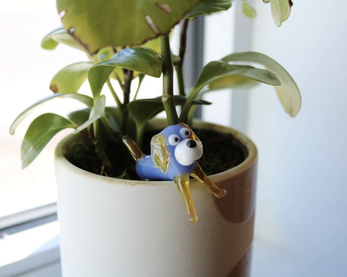 The WVC Exhibit Hall Is a Lot. Here’s How Vet Candy’s Caitlin Palmer Is Tackling It