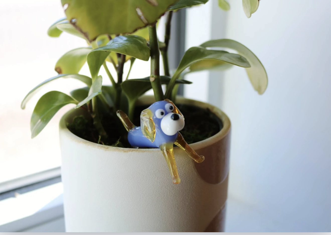 Who Let the Dogs Out? Join Us at Vetmedin's Paw-some Pursuit at WVC Vegas