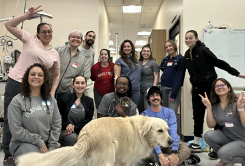 Bond Vet Launches “Bond to the Rescue” Partnership with Animal Care Centers of NYC