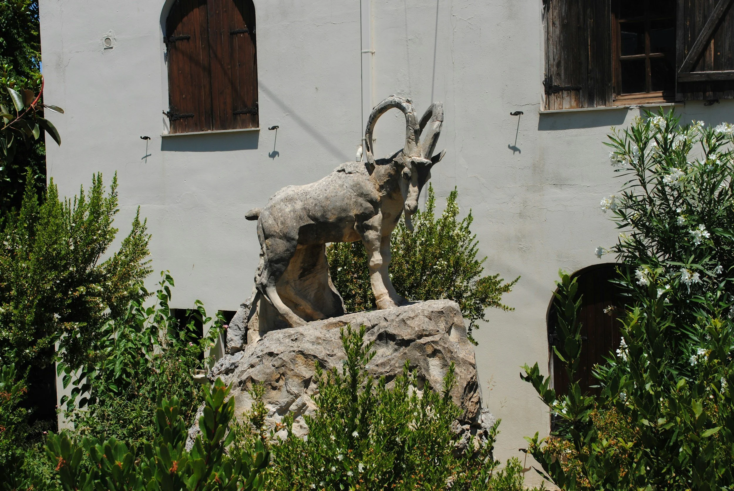 Foot-and-Mouth Disease Import Alert: What U.S. Veterinarians Need to Know About New Restrictions from Greece