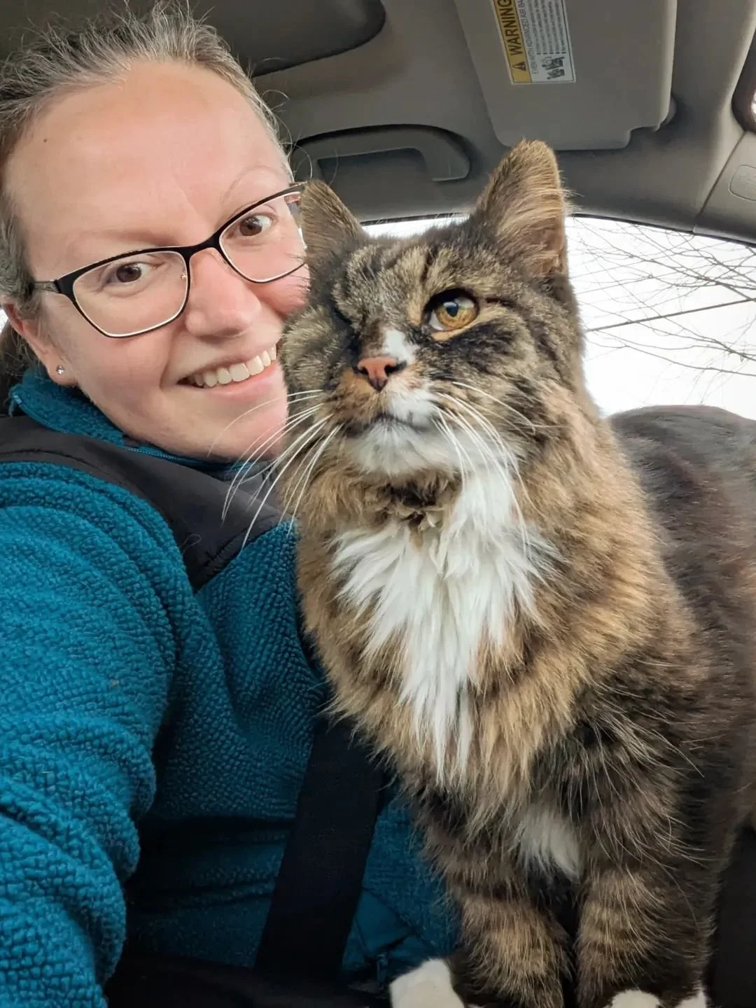 What 14 Years in Vet Med Taught This Pet Owner About Never Giving Up