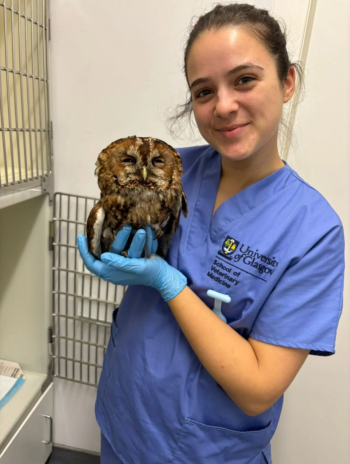 Andrea Suárez Carrió is the Big Sister the Vet School Generation Needs