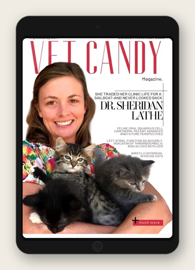 Dr. Sheddy Sailing Vet Vet Candy Magazine November 2025.png