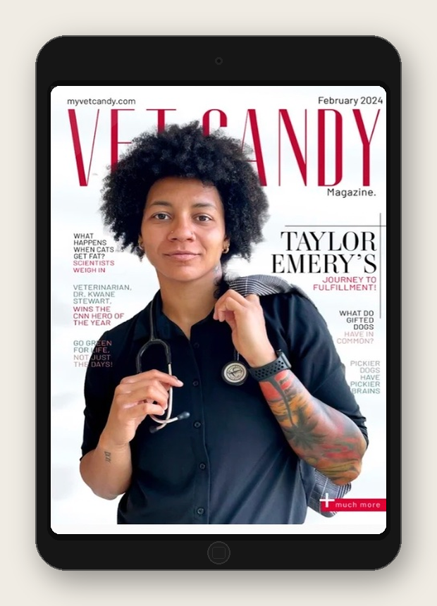 Dr. Taylor Emery Vet Candy Magazine February 2024.png