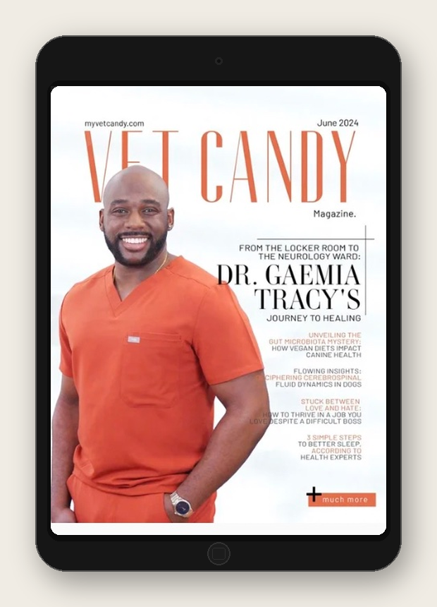 Dr. Gaemia Tracy Vet Candy Magazine June 2024 KBroVet Neurology.png
