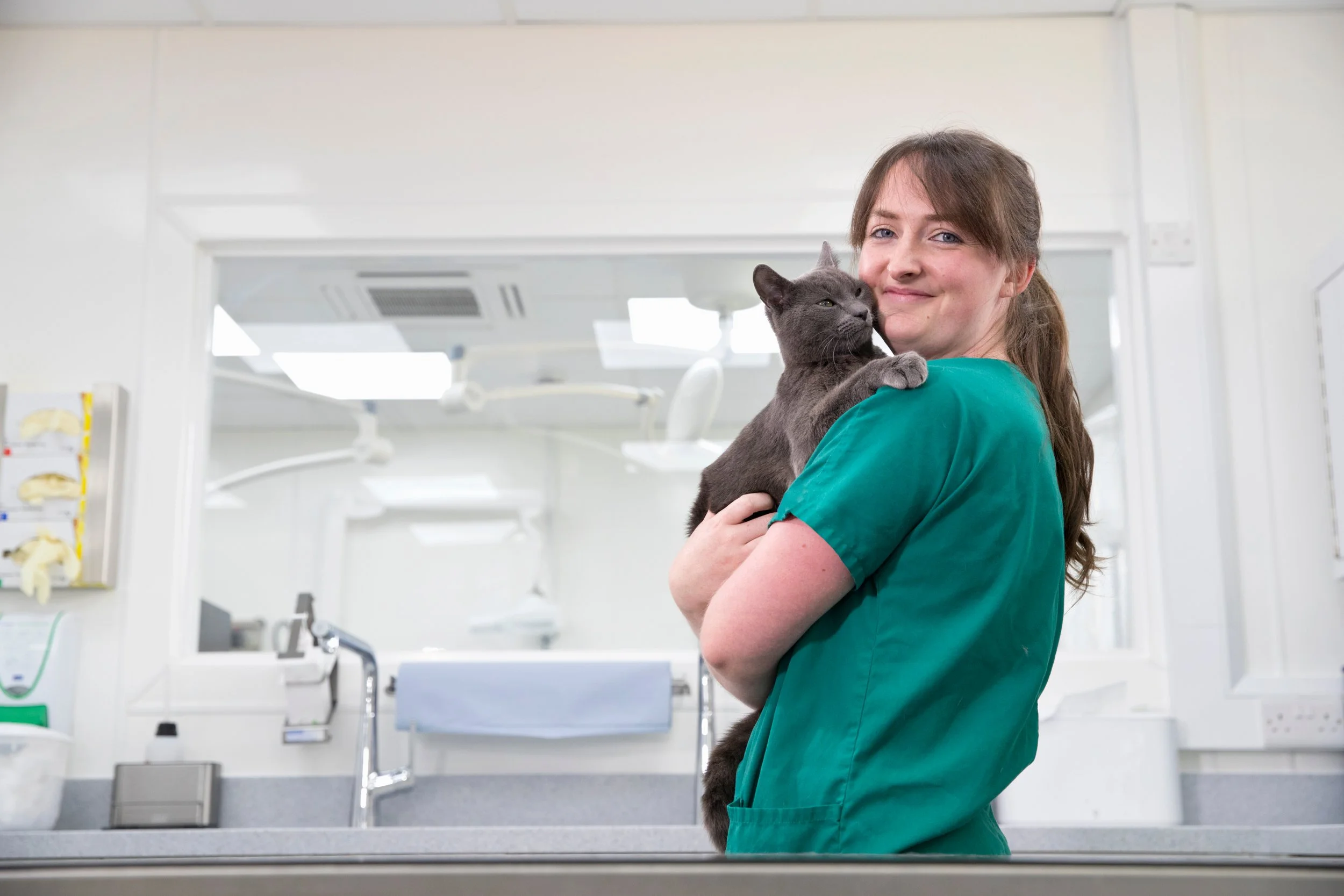 New Veterinary Technician Association AACVT Officially Launches Nationwide