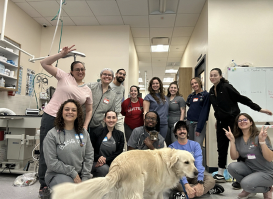 Bond Vet Launches Membership Program  