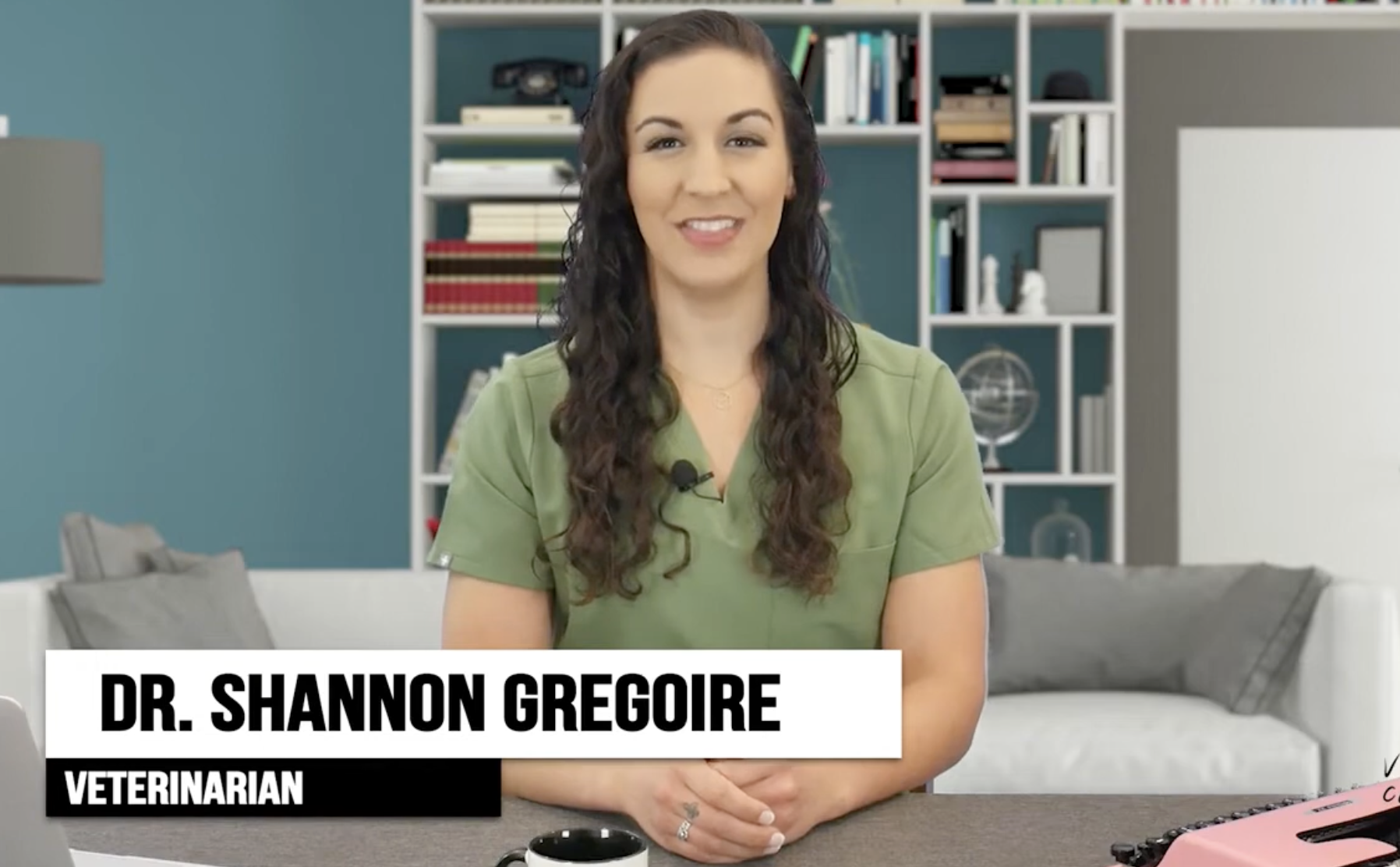 Turning NAVLE Prep Into a Game: Inside Vet Candy’s Warrior Quiz Show Experience