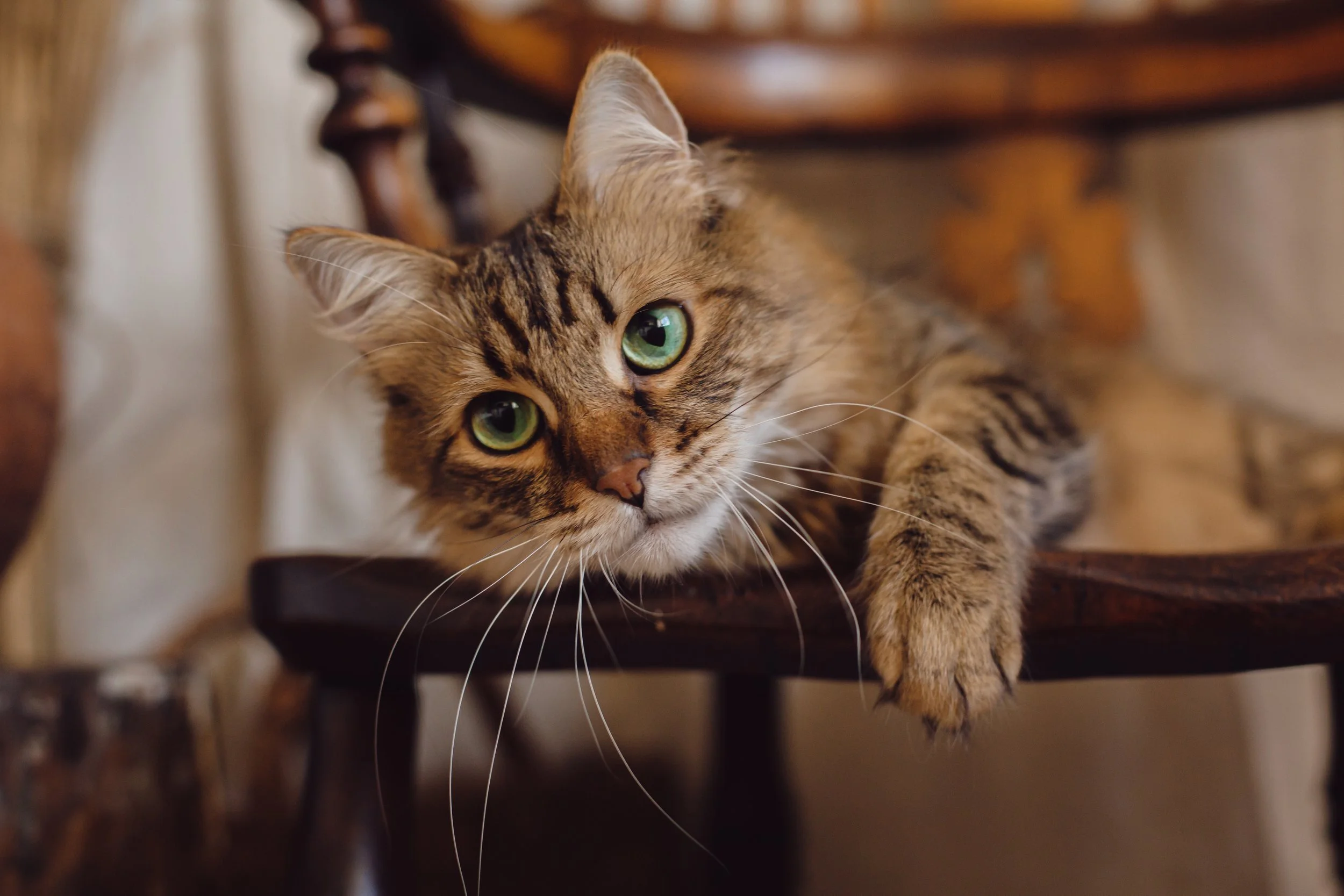 The Front Desk Finally Has Its Own Show