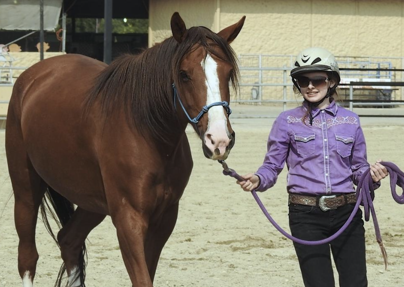 Former Wild Mustang Survives Botulism Scare