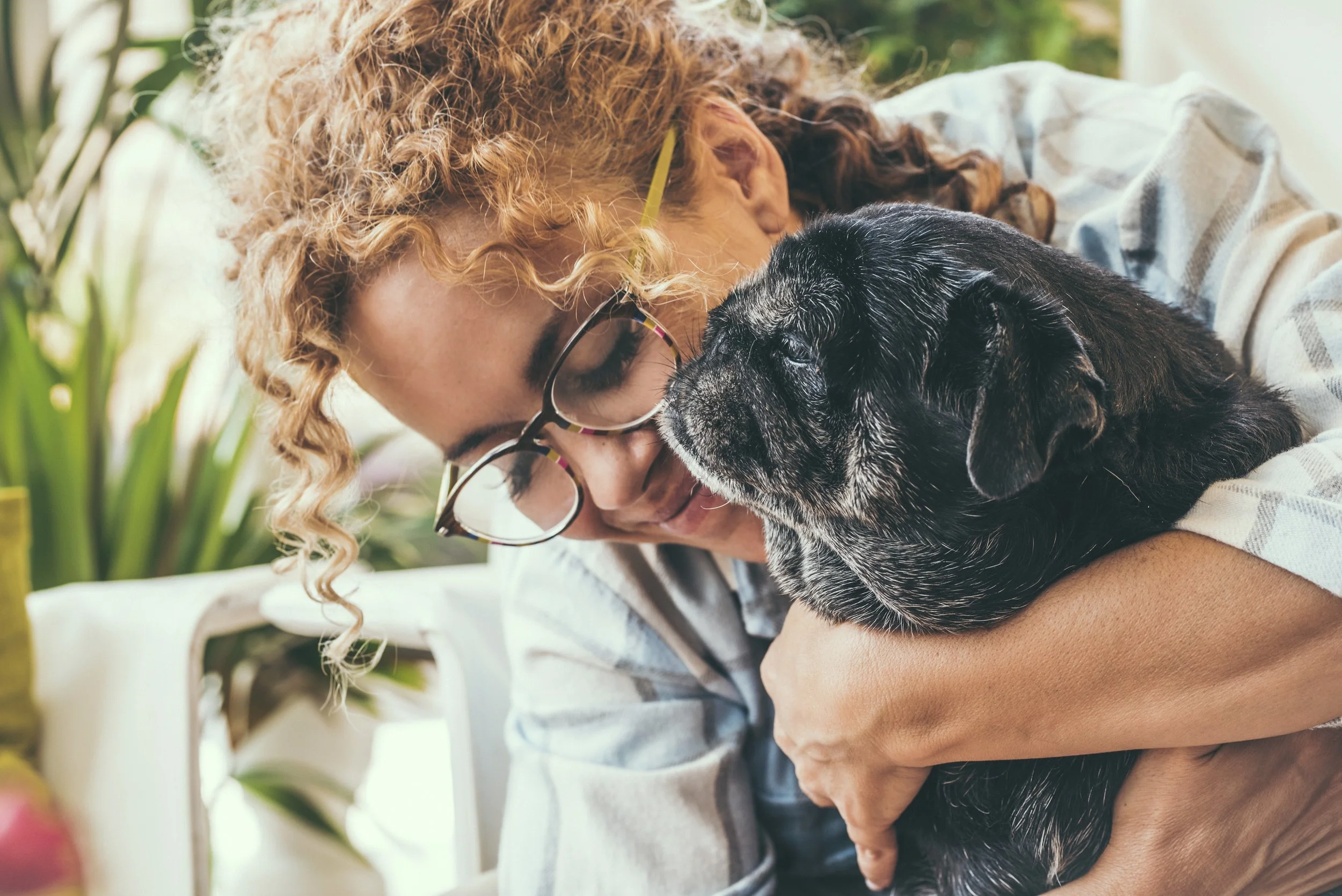 Boehringer Ingelheim and Eko Health Inc. launch new AI-based solution that detects heart murmurs in dogs