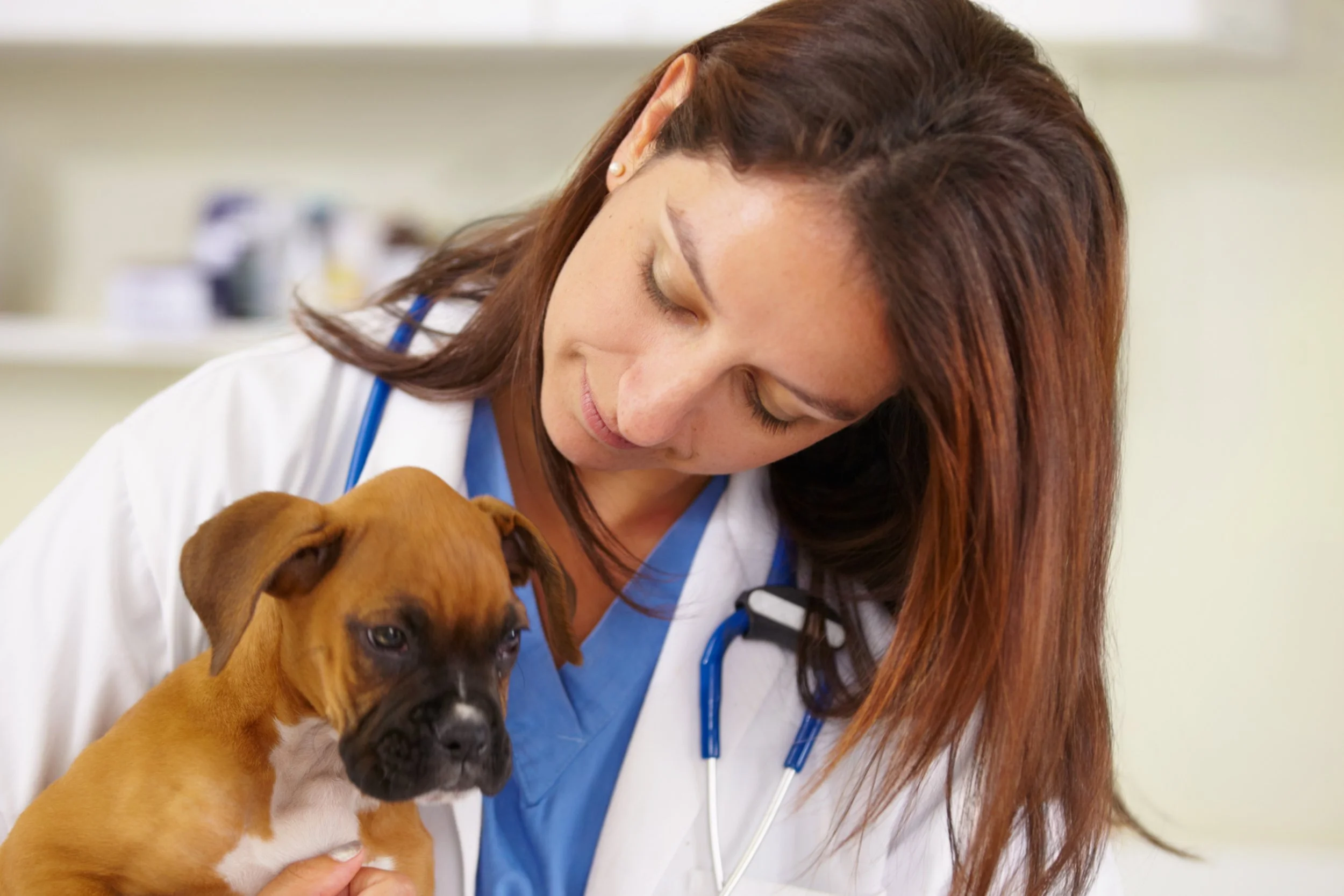 PetSmart Charities Expands Access to Vet Care with $100 Million Investment