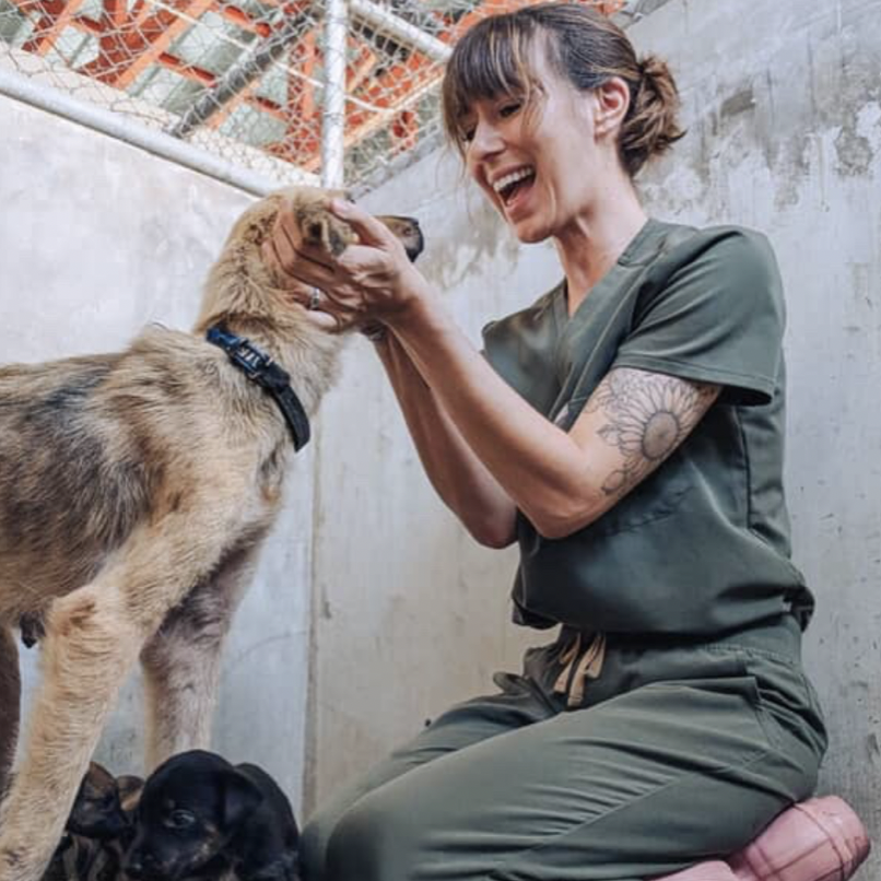 Where There Are No Vets: How Lauren Cabrera Is Changing the Future of Animal Care on Saipan