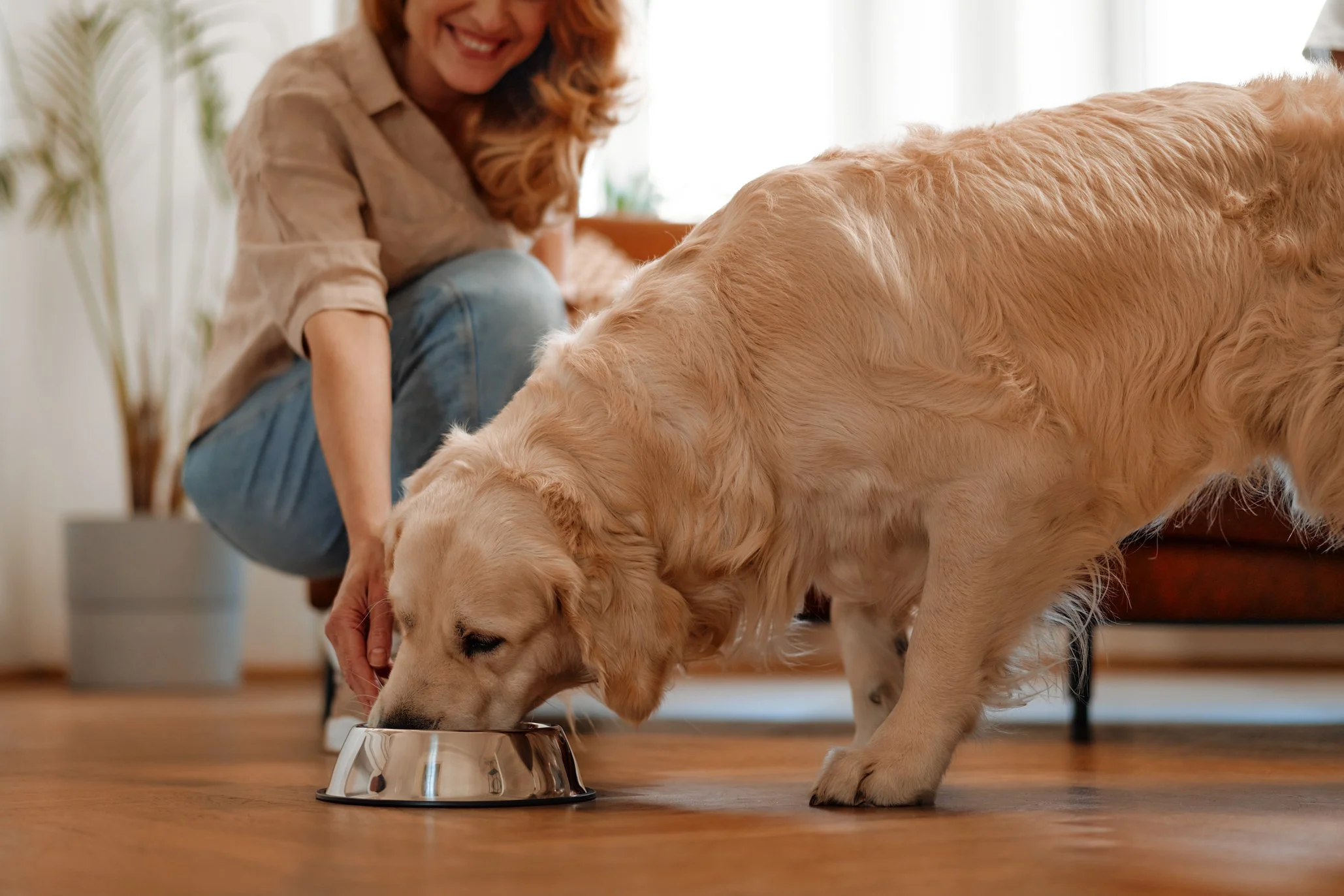 Hill's Is Making Two Big Bets on the Future of Pet Food. One Is About the Farm. One Is About the Lab.