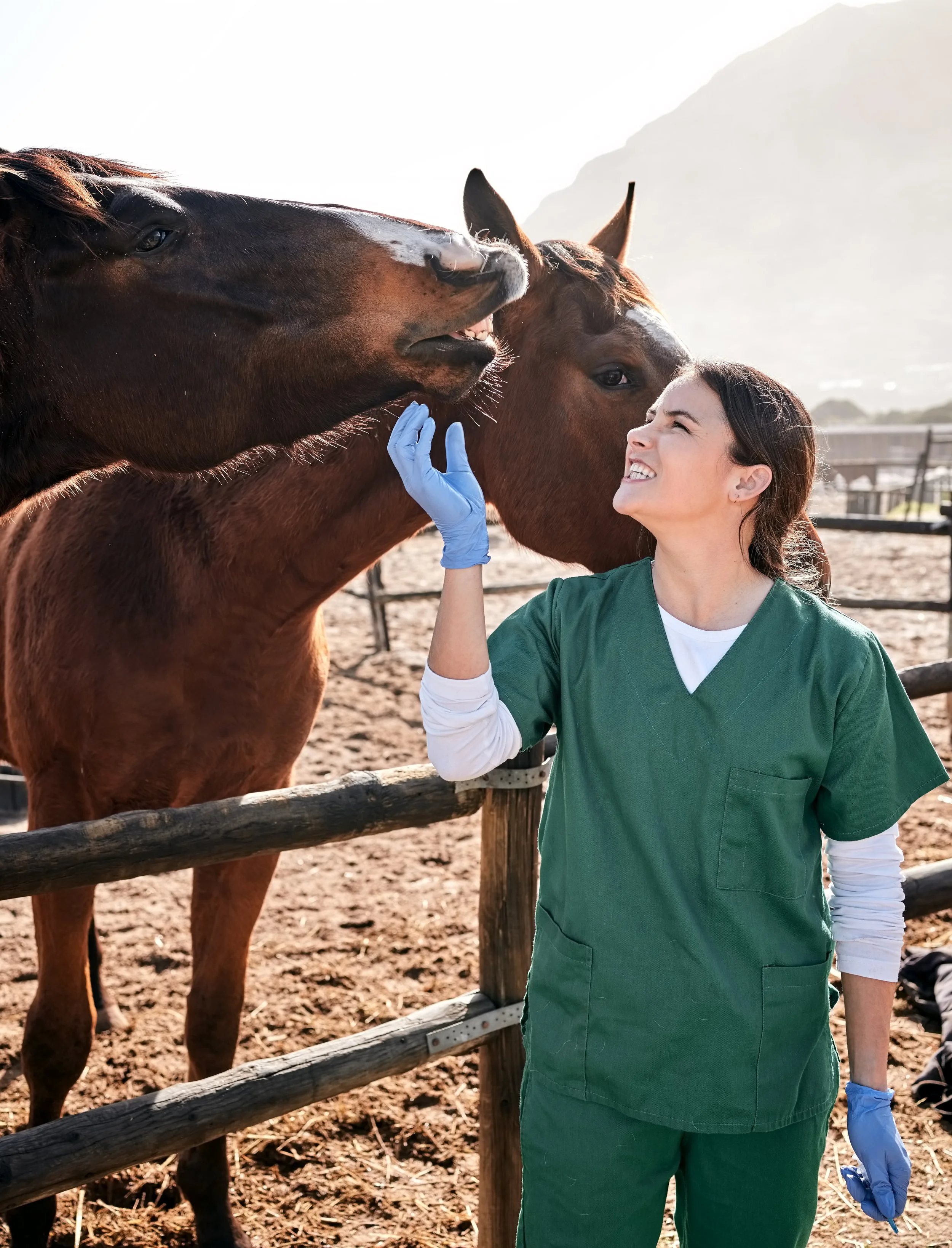 A $1 Million Gift Is Betting on the Future of Equine Veterinary Medicine. The Pipeline Problem Made It Necessary.