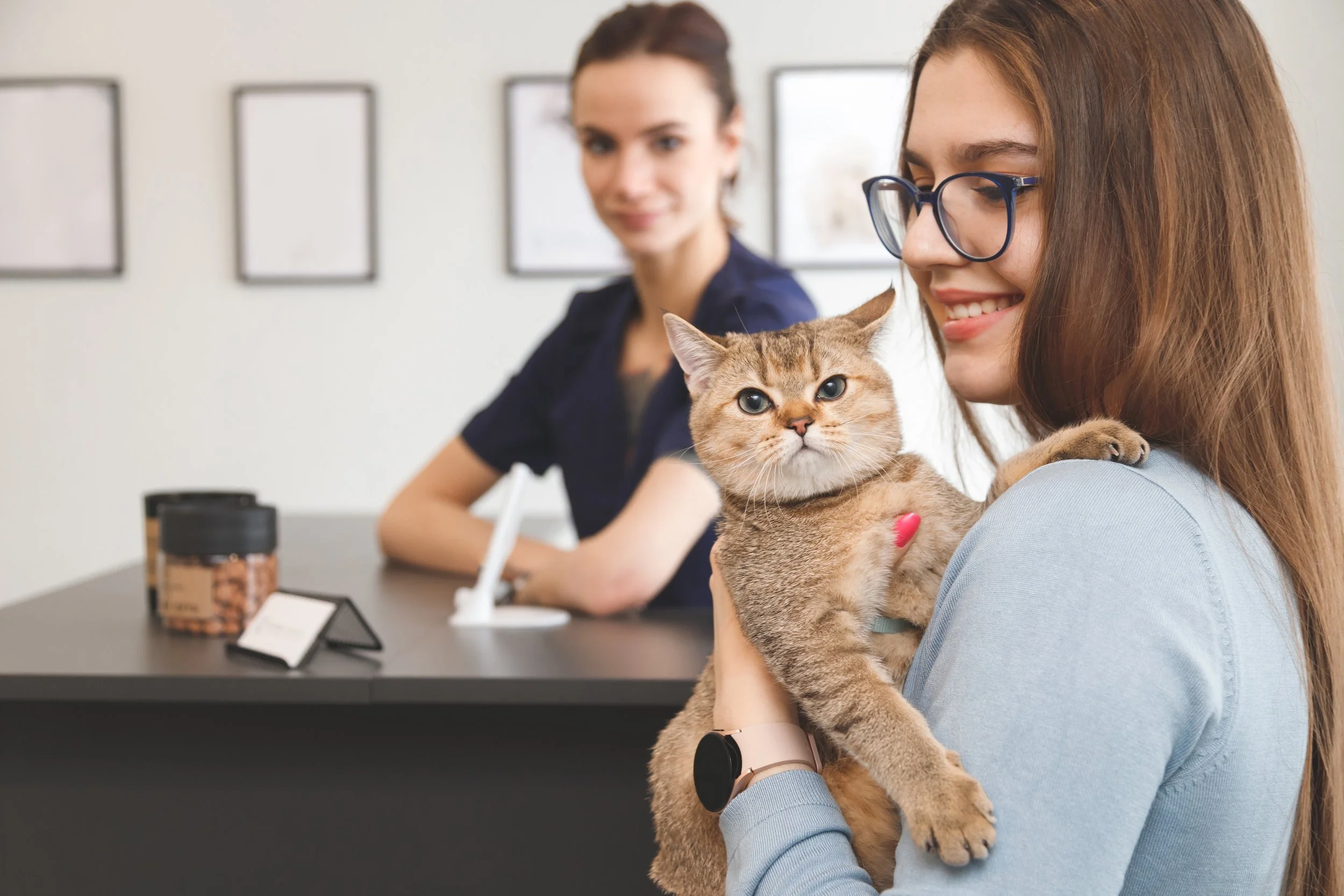 Veterinarians Needed: Help Shape the Future of the NAVLE®