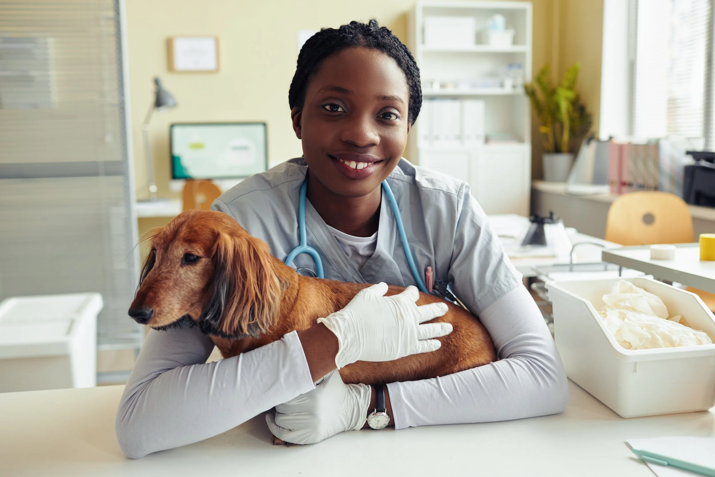   CoVet Survey Finds Veterinarians Are Gaining Time Back and Experiencing Less Burnout as AI Takes on Administrative Work