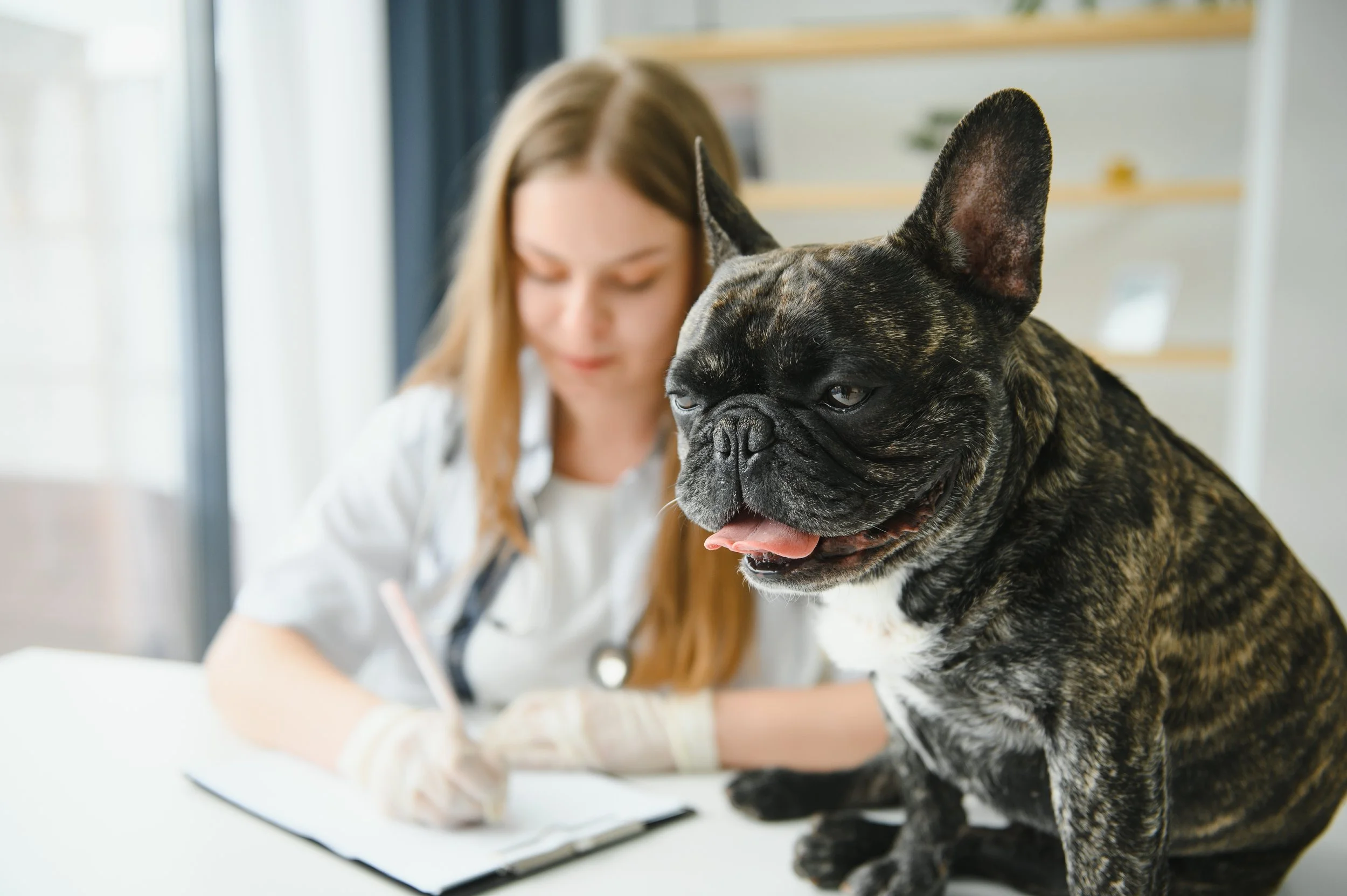 You Are Not Burned Out Because You Are Bad at This. Study Shows You Are Burned Out Because of the Paperwork.
