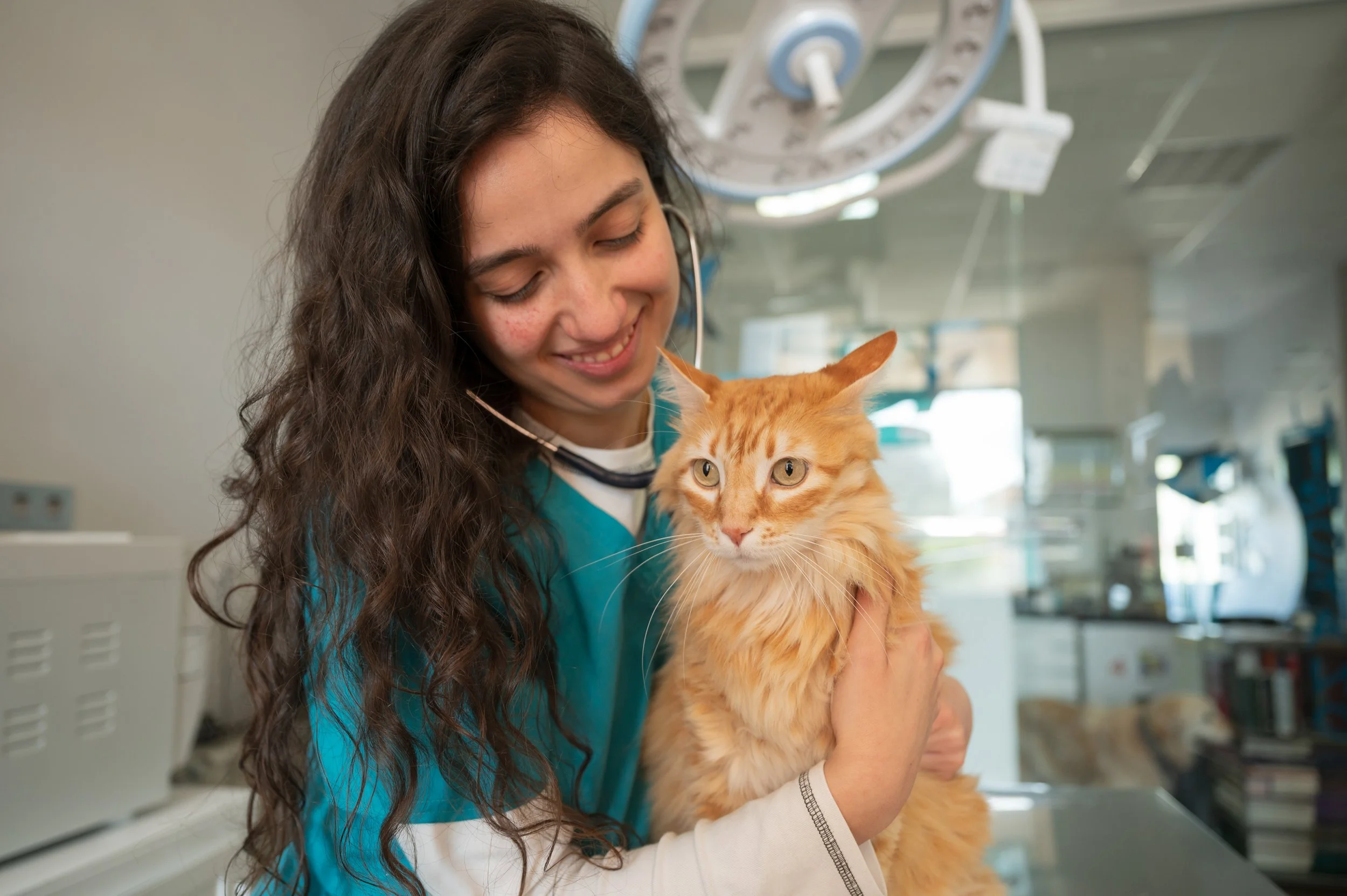 The Work Veterinarians Do That Nobody Sees