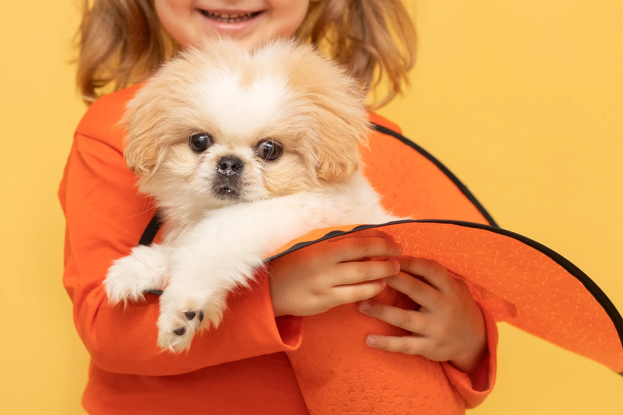 85% of Dogs Have Fear or Anxiety Issues. Your Clients Need More Support Than You Can Give Them in One Appointment.