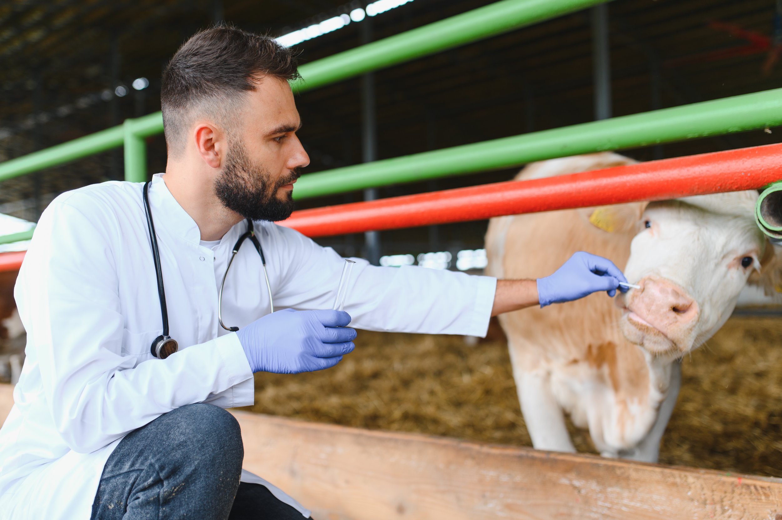 This Herd Monitoring Technology Can Flag Sick Cows 3 Days Before You'd Catch It Otherwise