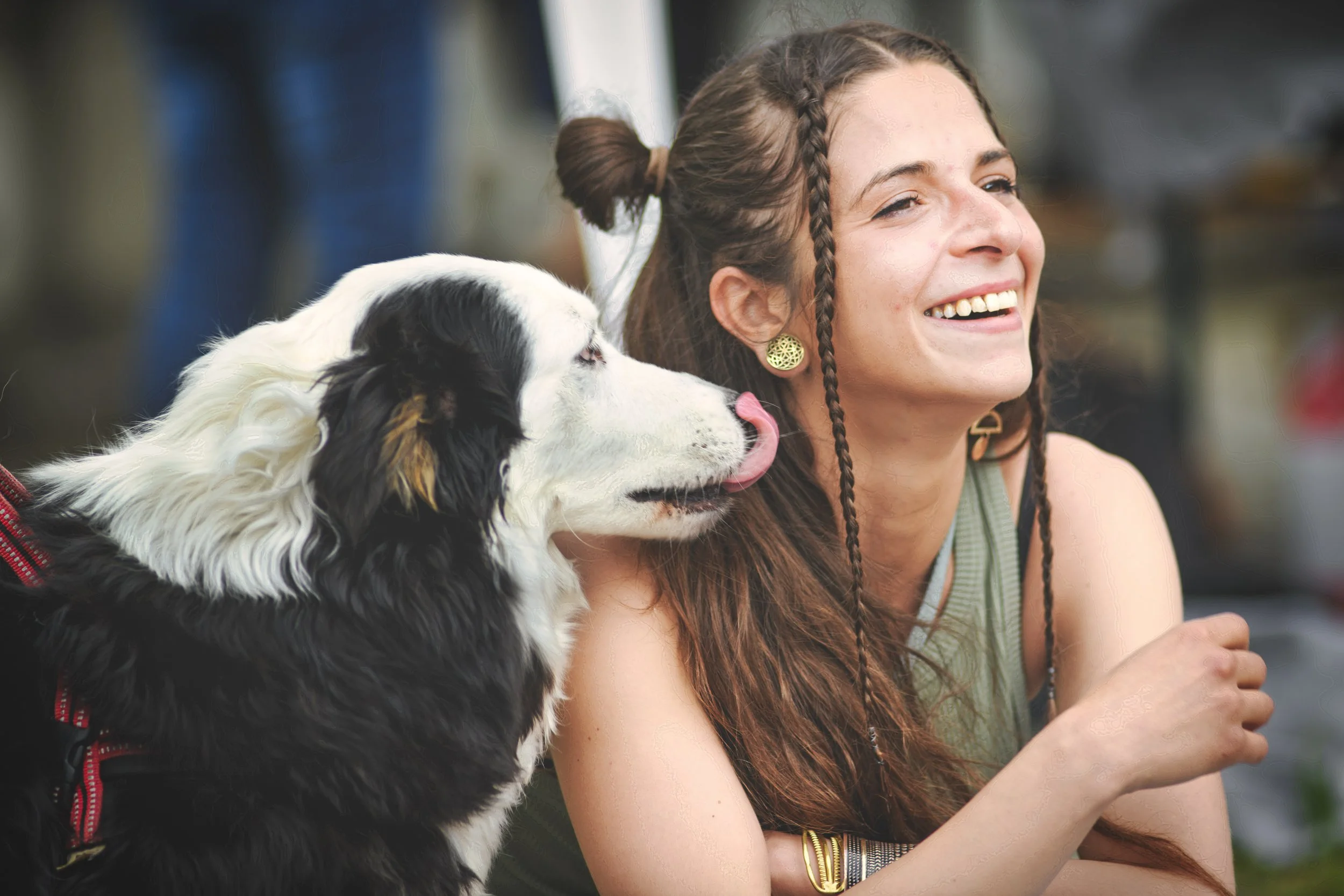 What If Your Dog Holds the Secret to Healthy Aging?